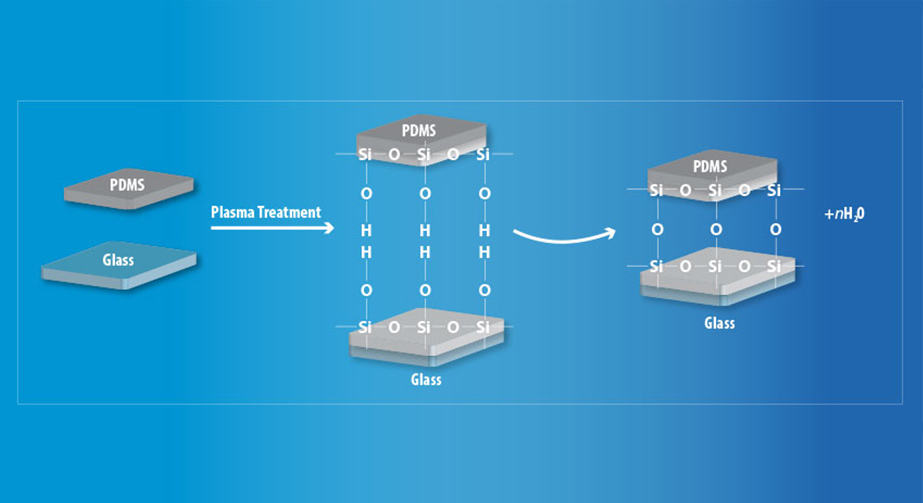 PDMS等離子鍵合方法 提高PDMS表面親水性、生物相容性、附著性